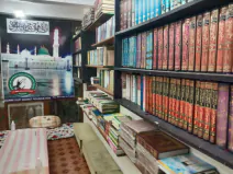 our-activities-1